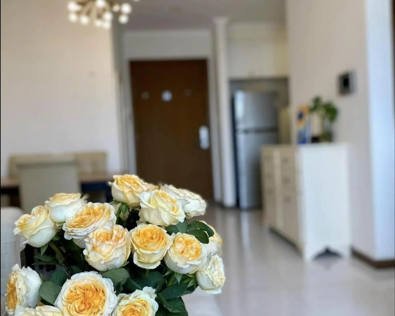 The Rio Ha Do Home City Ho Chi Minh City Homestay